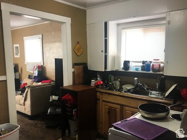 Kitchen featuring crown molding, plenty of natural light, and dark countertops