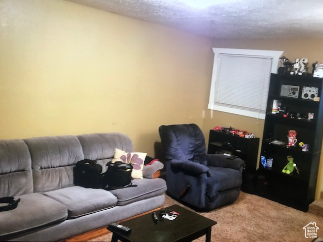 Carpeted living room with a textured ceiling