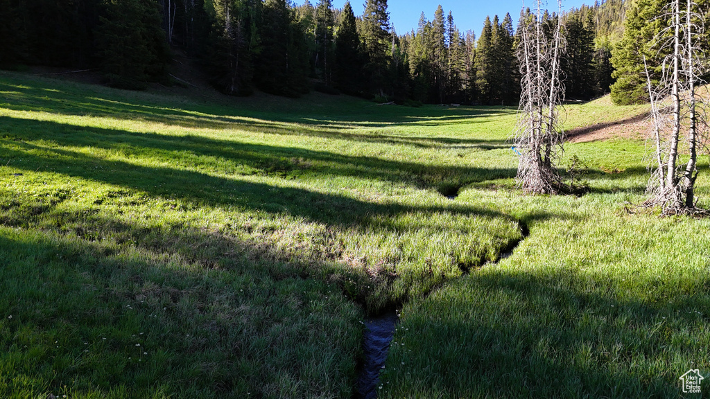 View of grassy yard featuring a view of trees