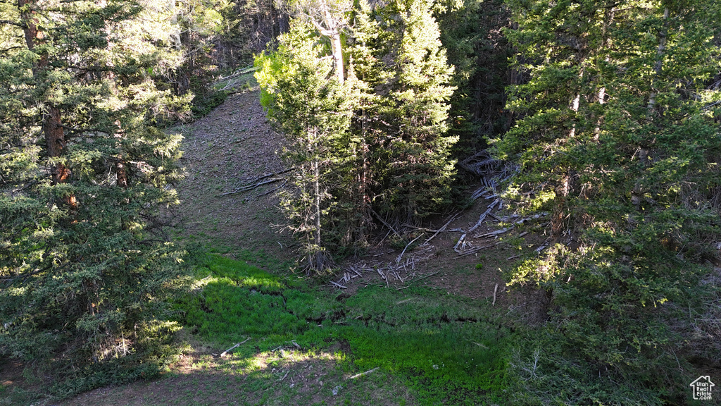 View of nature