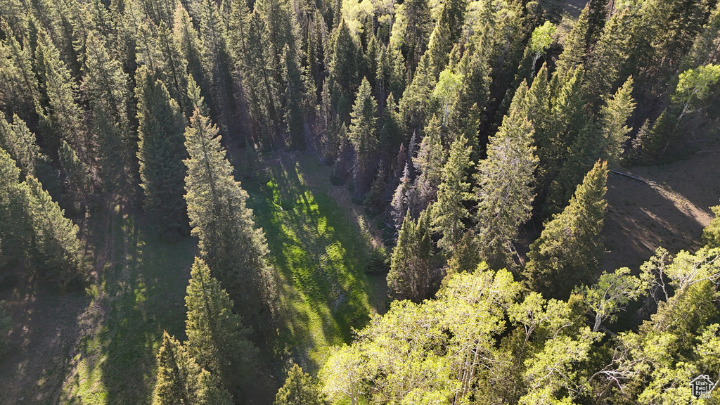 Aerial view of property's location featuring a heavily wooded area