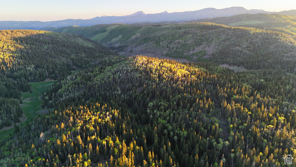 Mountain view with a heavily wooded area