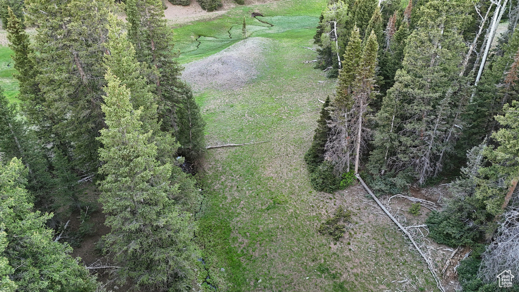 Aerial view of property's location