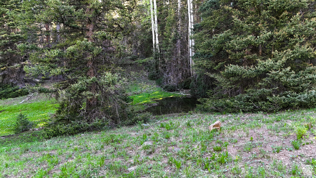View of nature
