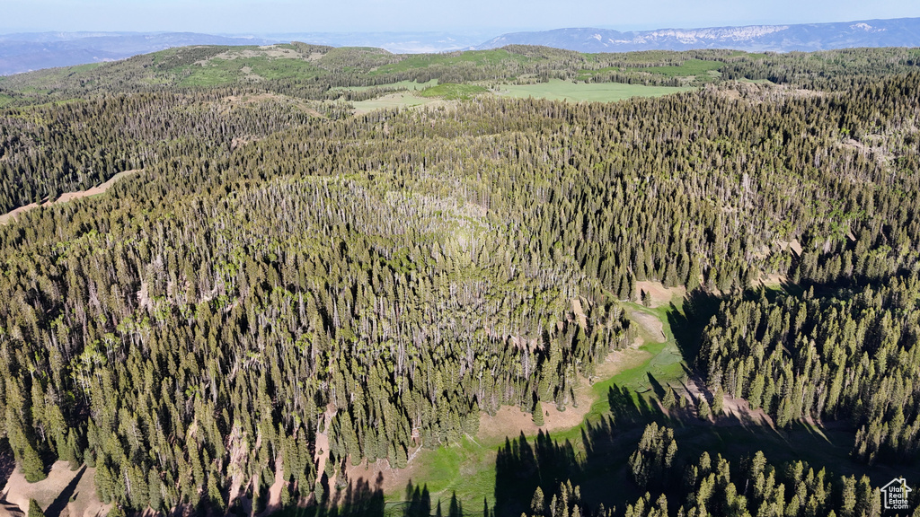Aerial view of property and surrounding area with a forest and a mountainous background