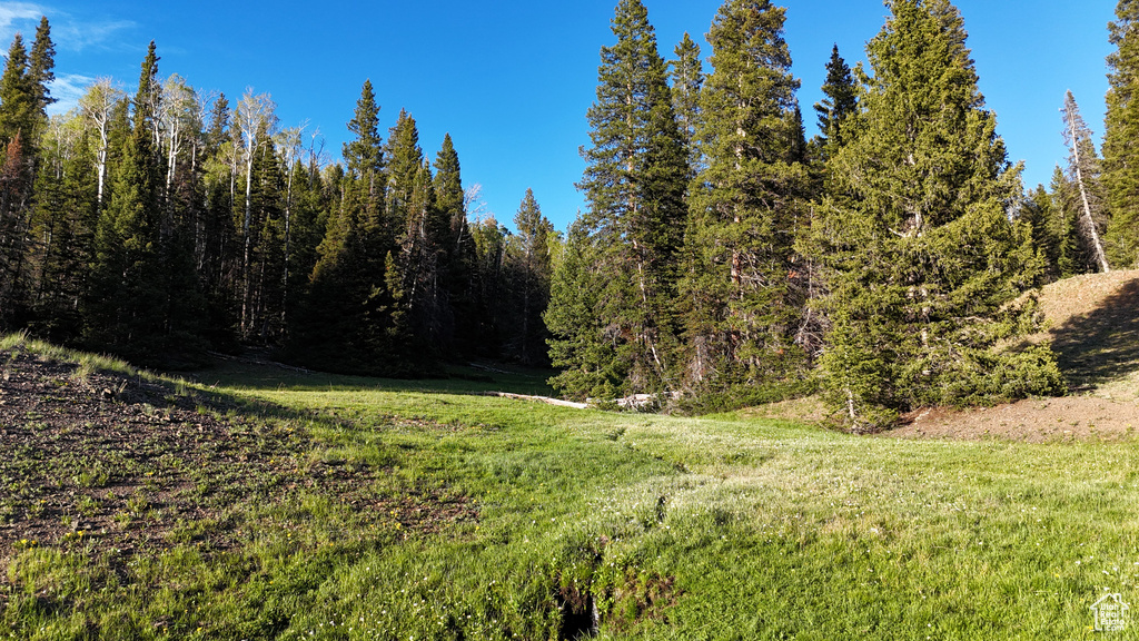 View of woods