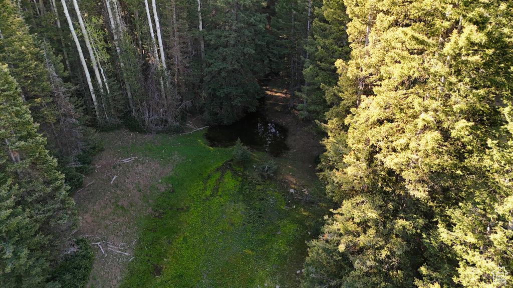 Aerial overview of property's location featuring a heavily wooded area