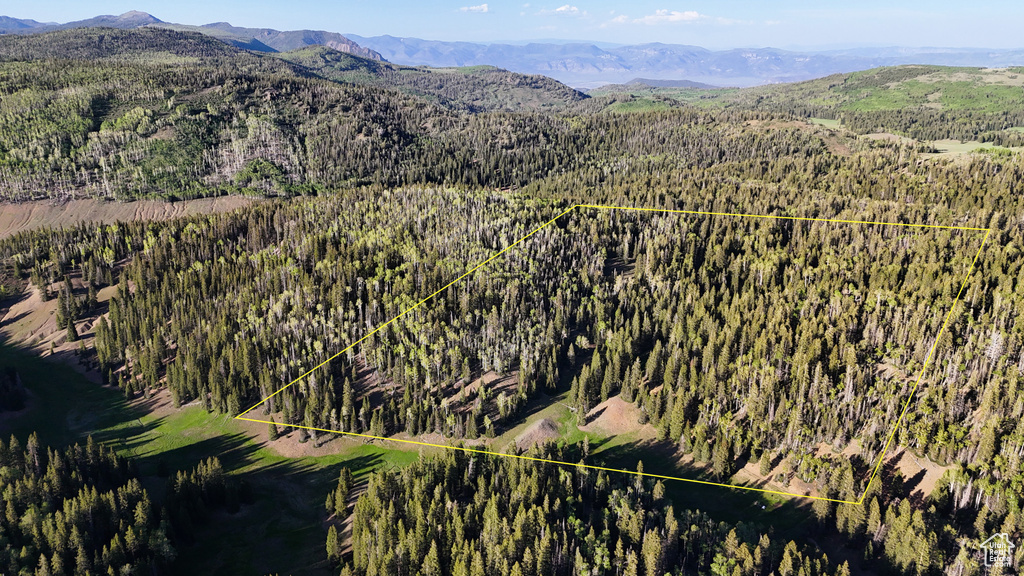 Aerial view of property and surrounding area with property parcel outlined and a mountain backdrop