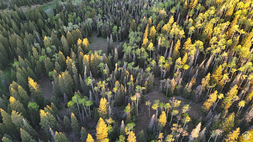 Aerial view of property and surrounding area with a heavily wooded area