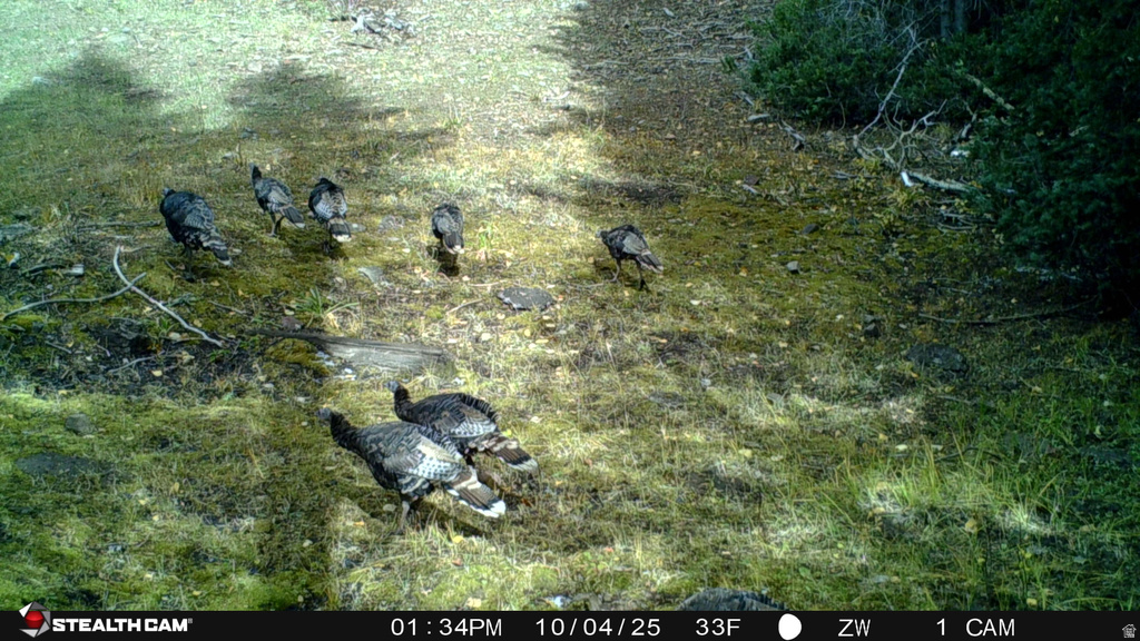  Beaver, UT 84713