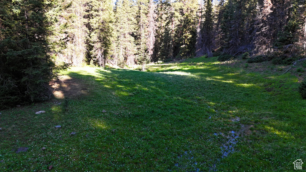 View of green lawn featuring a forest view