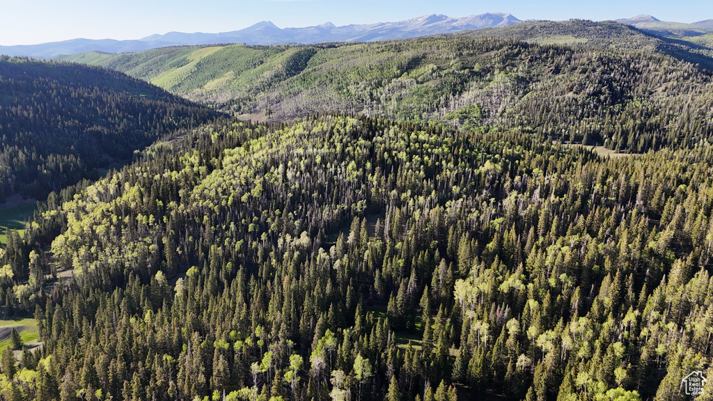 Mountain view with a heavily wooded area