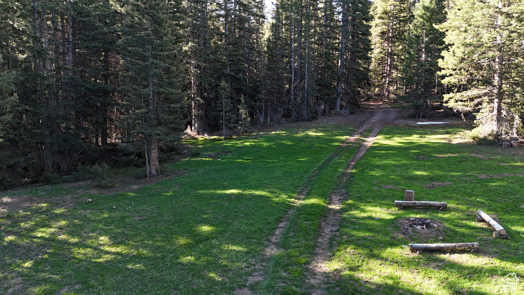 View of green lawn with a forest view