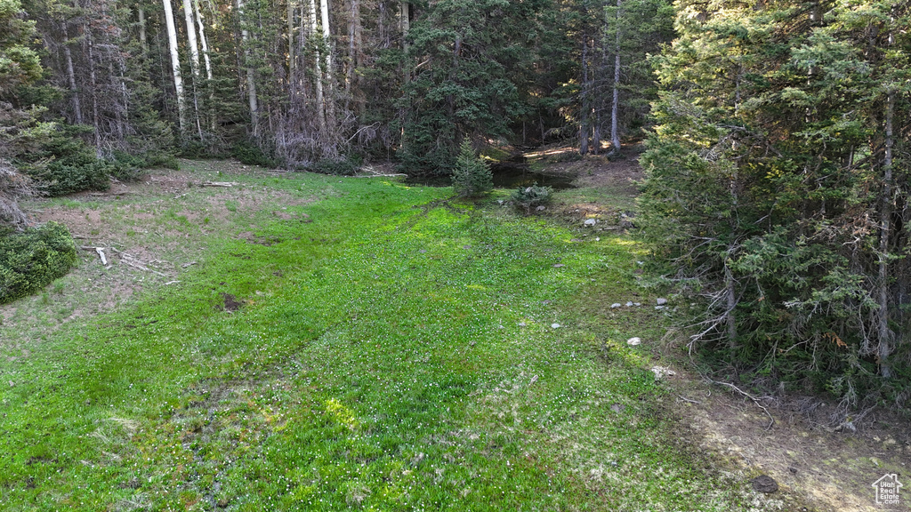 View of green lawn with a view of trees