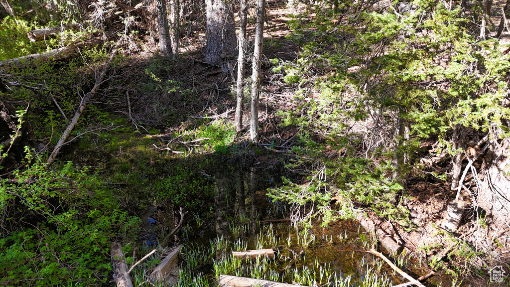 View of nature