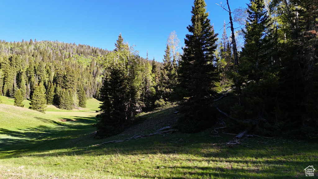 View of wooded area