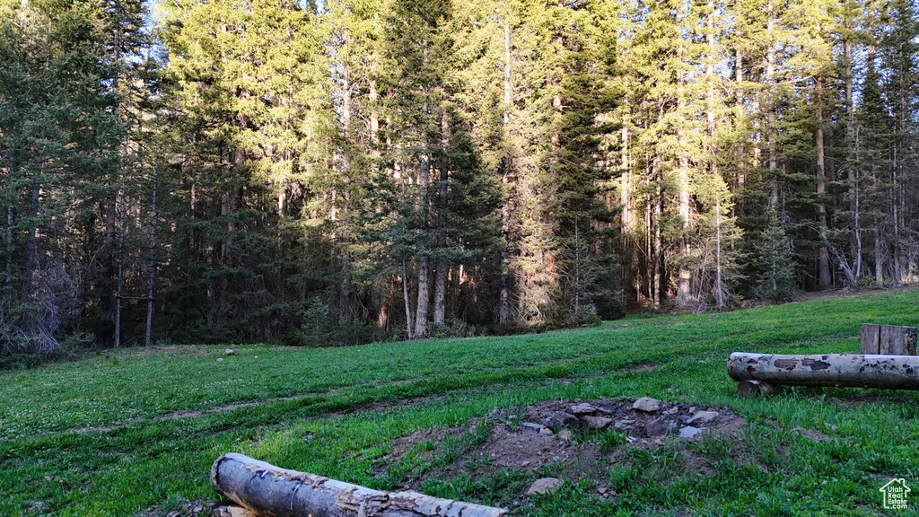 View of grassy yard with a forest view