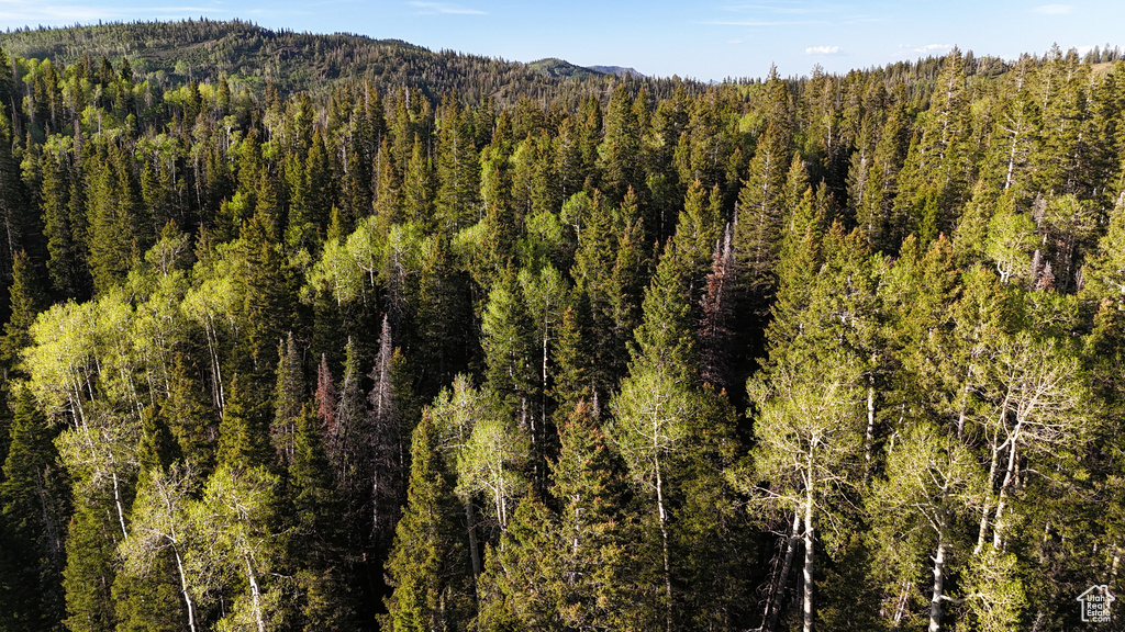 View of mountain background featuring a heavily wooded area