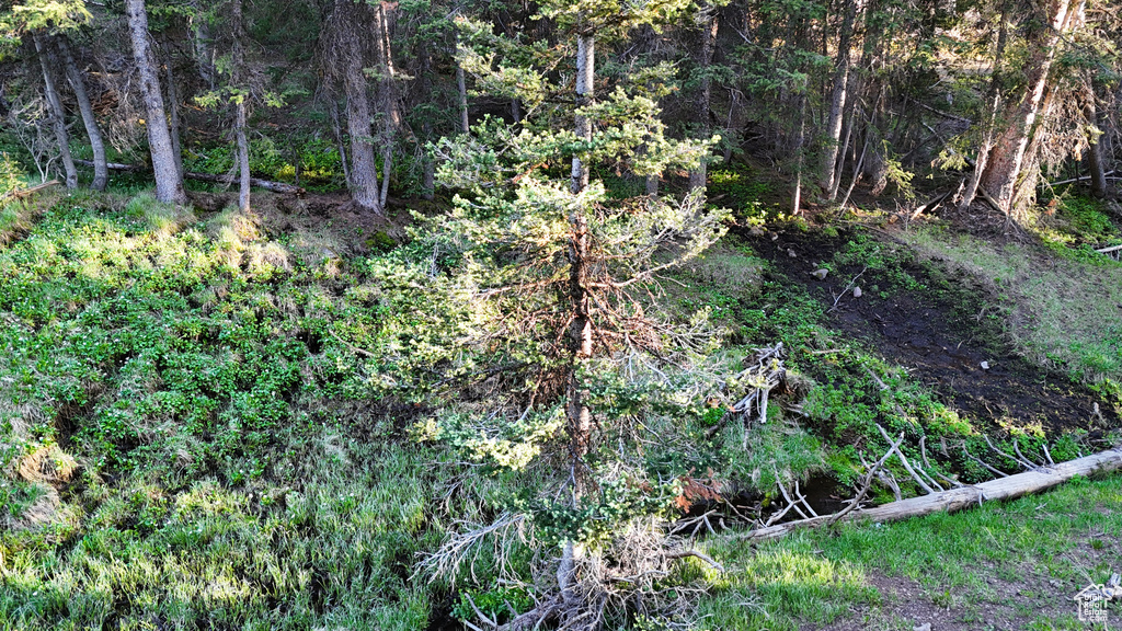 View of nature