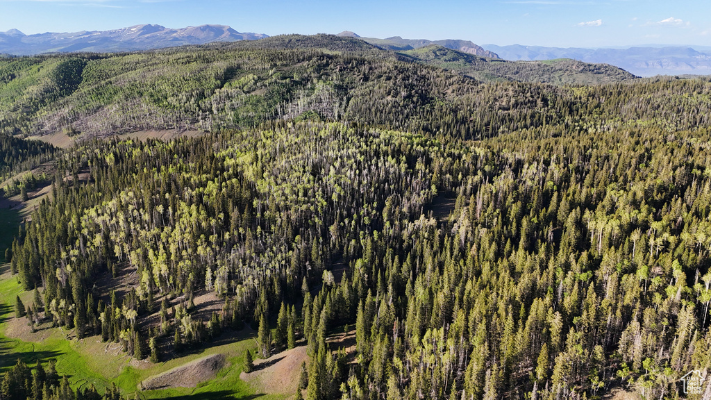 Mountain view with a heavily wooded area