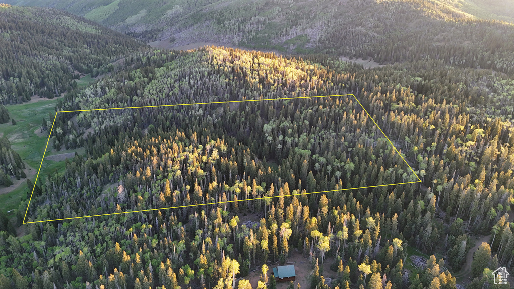 View of mountain backdrop featuring a forest