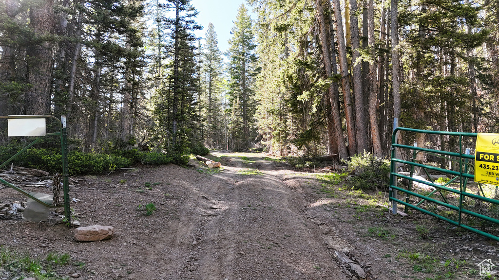 View of dirt / gravel road featuring a gated entry and a view of trees