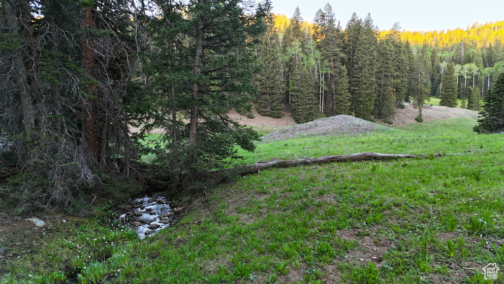 View of yard featuring a view of trees