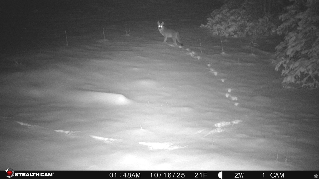  Beaver, UT 84713