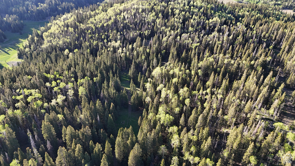 Drone / aerial view of a forest
