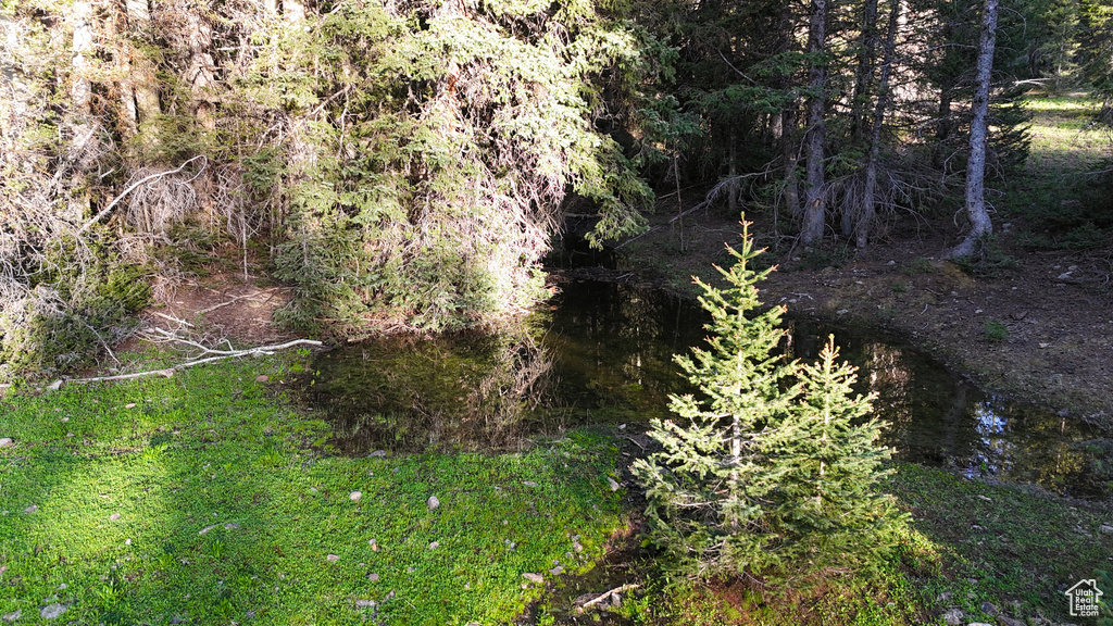 View of nature