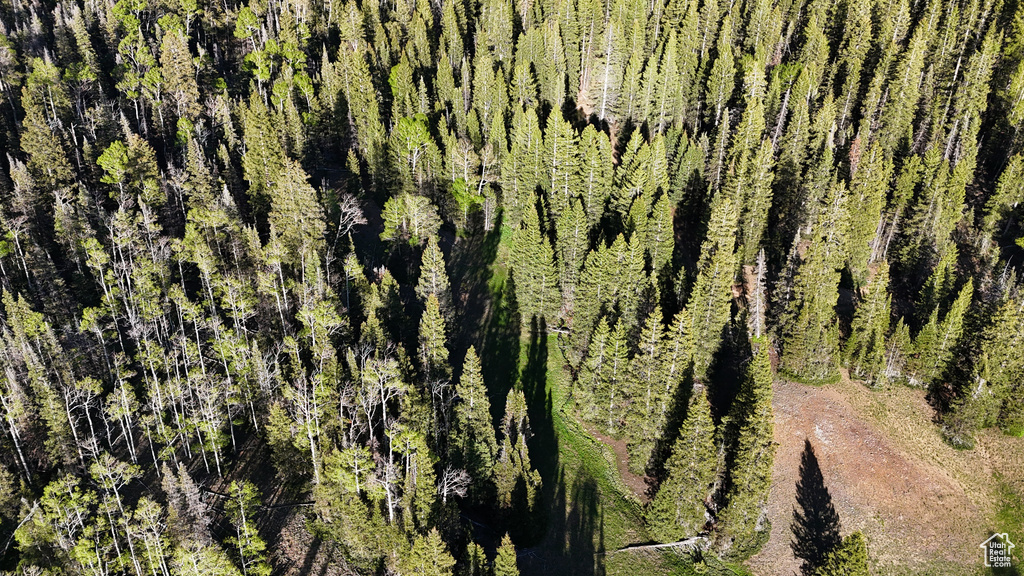 View of property location