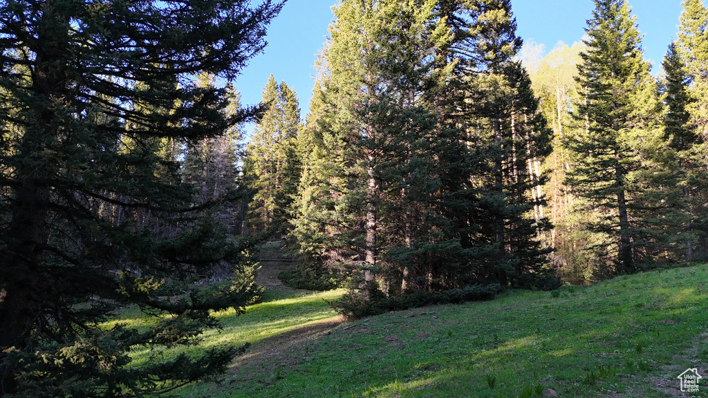 View of green lawn with a wooded view
