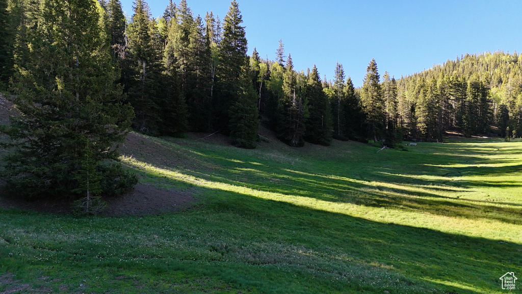 View of grassy yard featuring a view of trees