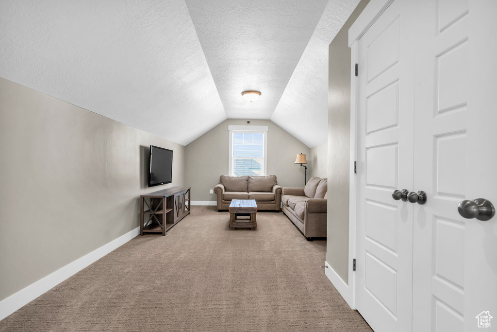 Carpeted living room featuring a textured ceiling and lofted ceiling