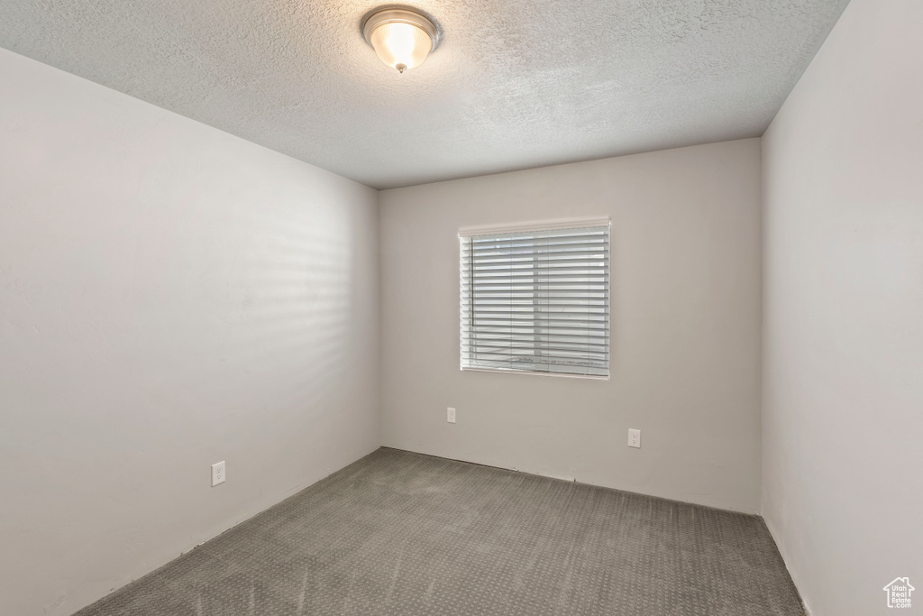 Spare room with carpet flooring and a textured ceiling