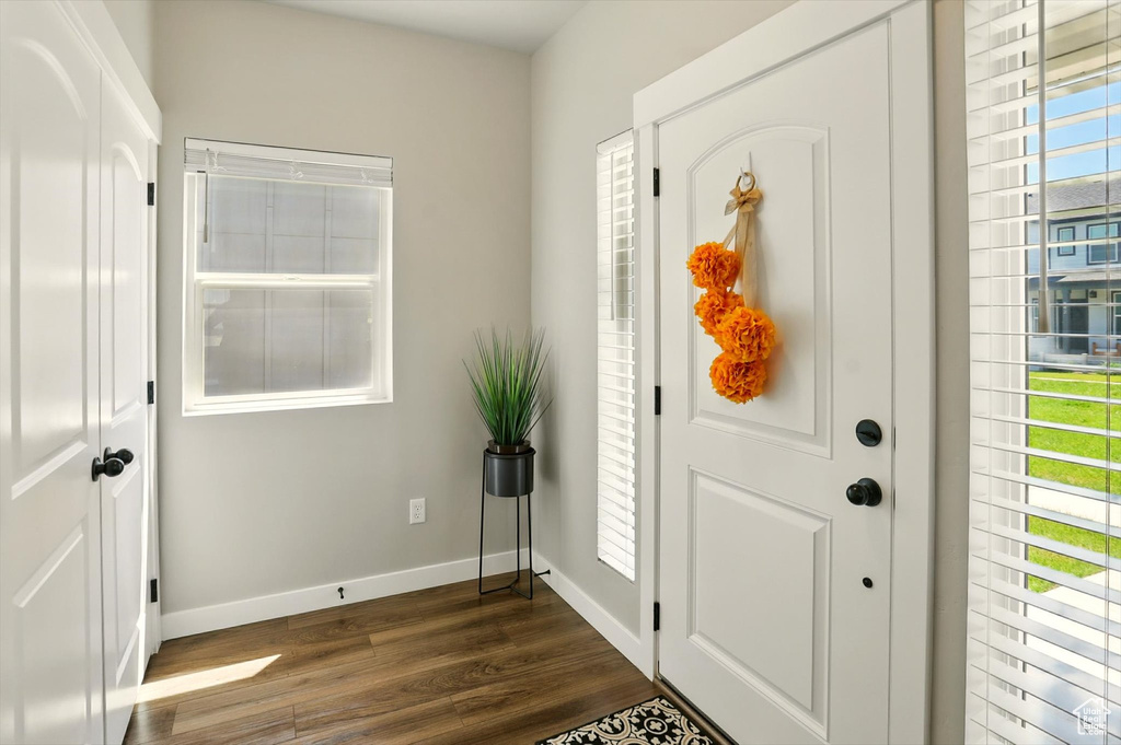 Foyer entrance with dark wood-style flooring and baseboards