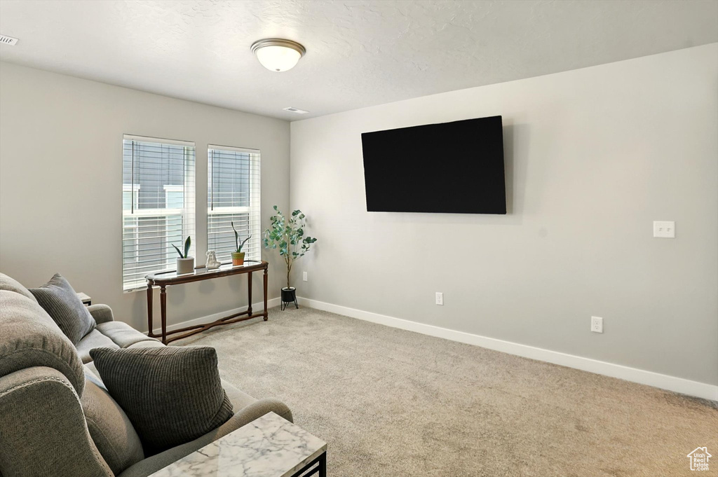 Carpeted living area with baseboards