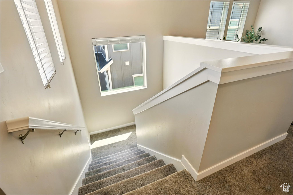 Stairs featuring carpet floors and plenty of natural light
