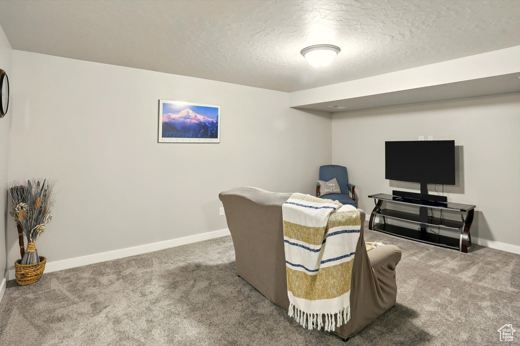 Carpeted home office with baseboards and a textured ceiling
