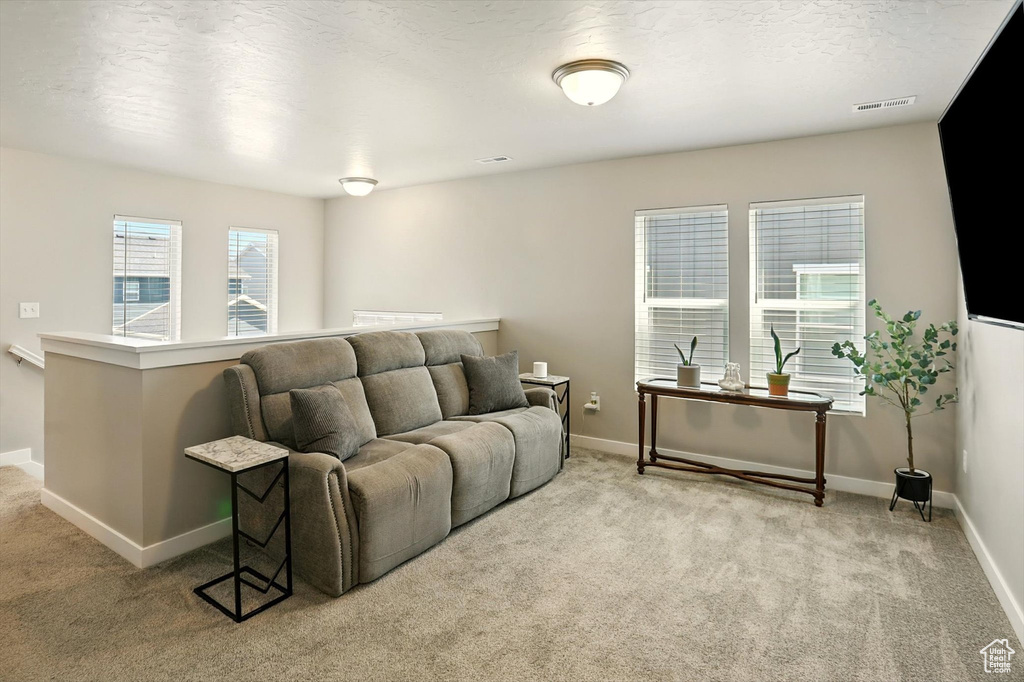 Carpeted living area with baseboards