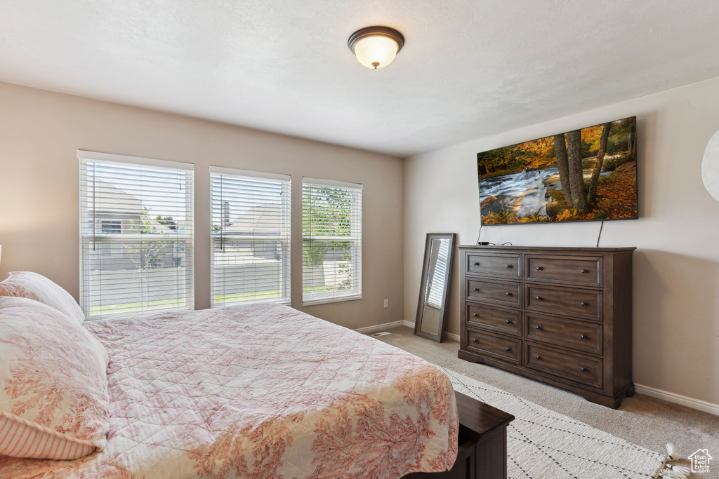 Bedroom with light carpet