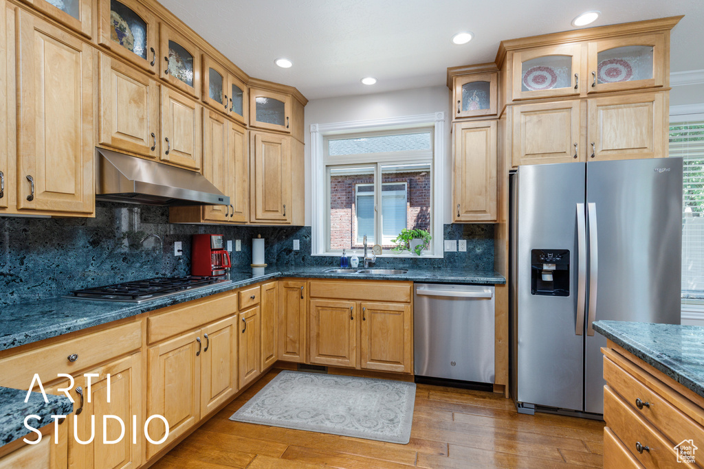 Kitchen featuring stainless steel appliances, under cabinet range hood, wood finished floors, healthy amount of natural light, and recessed lighting