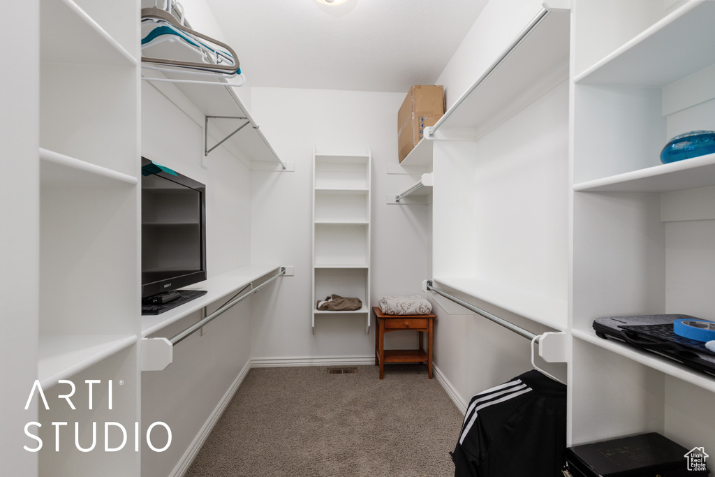 Spacious closet featuring carpet flooring