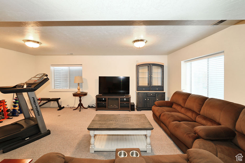 Living area featuring carpet flooring