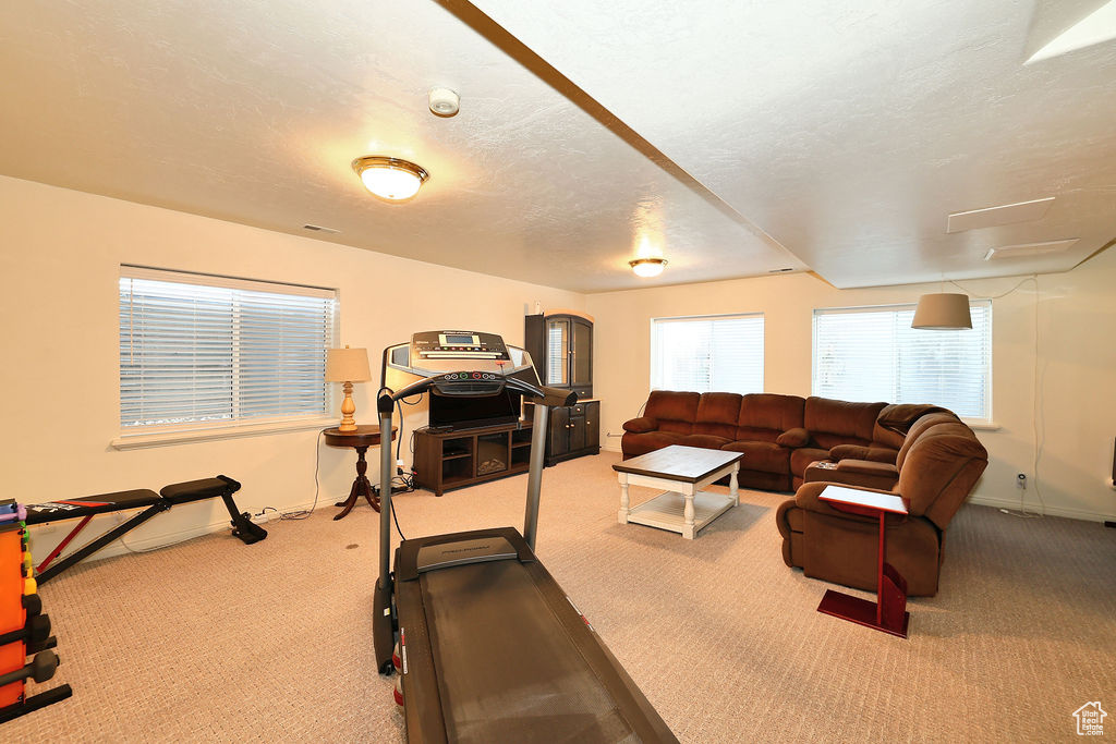 Workout room featuring carpet floors and a textured ceiling