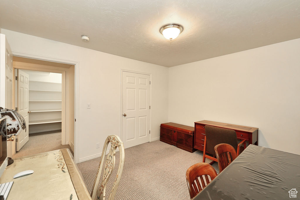 Bedroom with light carpet