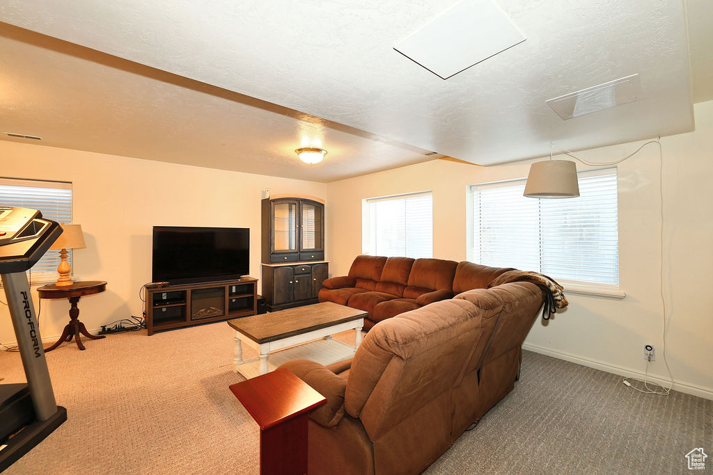 Carpeted living room featuring healthy amount of natural light