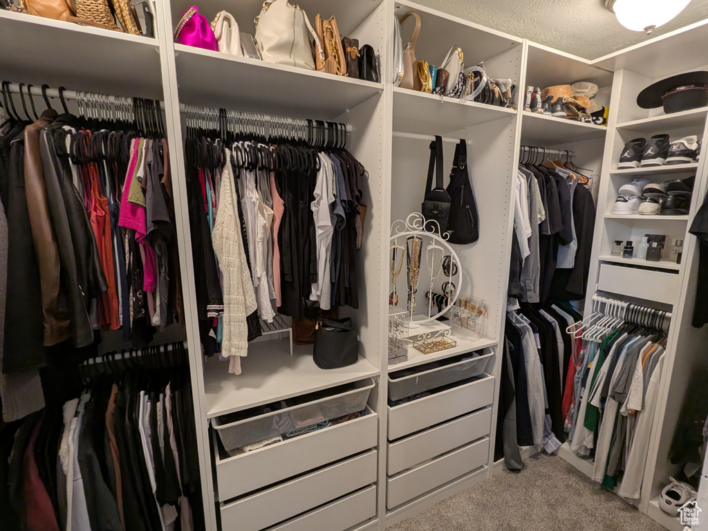 Walk in closet with carpet floors
