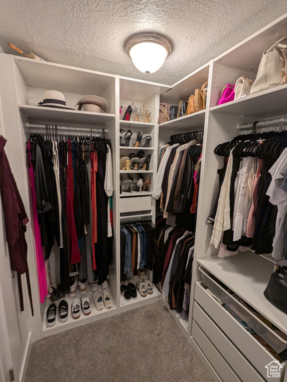 Walk in closet featuring carpet
