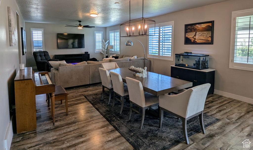 Dining space featuring plenty of natural light, dark wood-style flooring, a chandelier, ceiling fan, and a textured ceiling